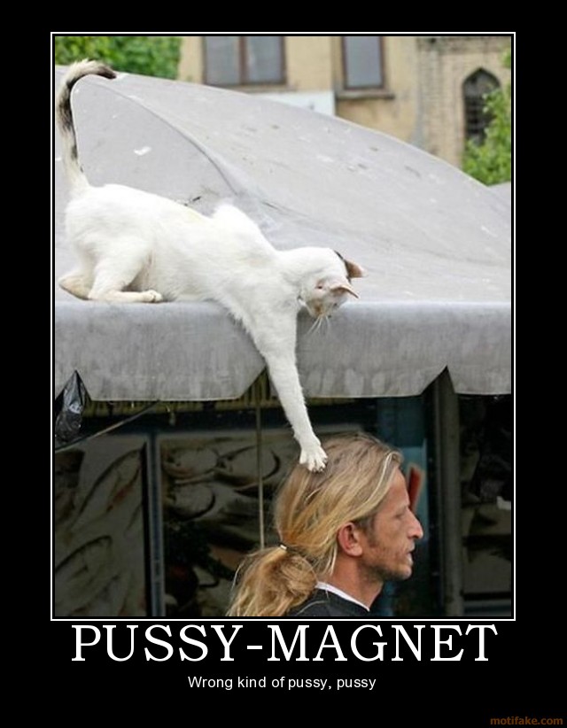 ... /uploads/2009/12/pussy-magnet-demotivational-poster-1215647161.jpg