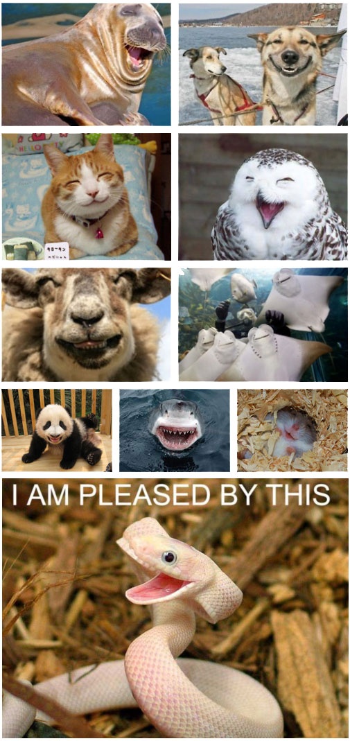 175077504233557951_HtIvSShs