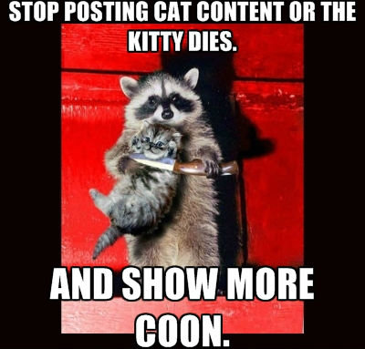 cat+hating+coon.+not+a+repost+oc_be2eea_4366420