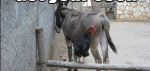 plz+no+ban_6eefe2_4991481