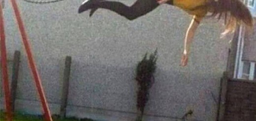 witty+title+.+Probably+a+repost+haven+t+seen+it+on+FJ_873378_4991433