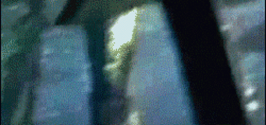 09be67a6863e23c703a1a8c640fe1cfc