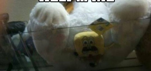 1503379_860161510679970_46470351_n