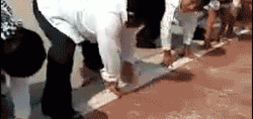 6baf4b1f778682ab36ae348d6755f937