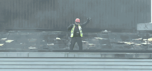 Not+sure+what+he+was+expecting_3244c7_5030843