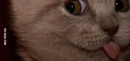 bc4102e3a9bd6cce9a03a9425f019f61