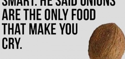 e979d3e35a4abdb4fb2d41acb5ca2815