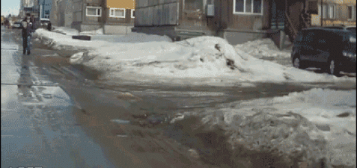 eb411f53905e0085ed5e1b7999c53f0c