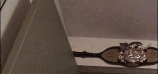 f8b2202d1affd4eb4d4056512417c806