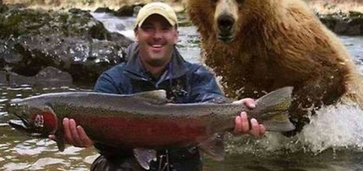 14bbccbb3e02b82781f456d9103d2345