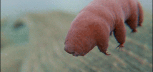 1f29d6aa7ffba1463ed8ab1497452545