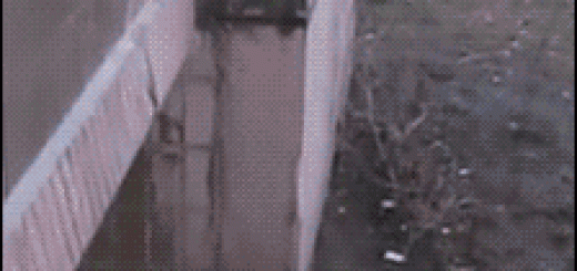 33457551e98e478c27f23cfaf3222afc