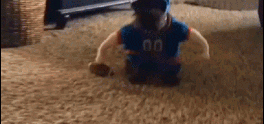 803b28f310f0440c750a3ae07cf4c0f2