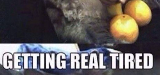 Catboner.+contain+sexual+content_5d83b3_5069672