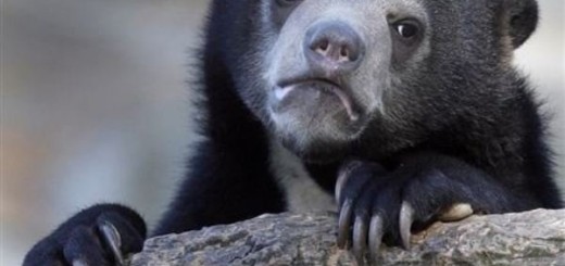 Natural_b73076_5069734