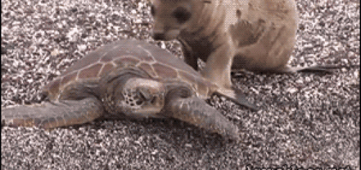 i+need+to+go_4ef0a0_5070027