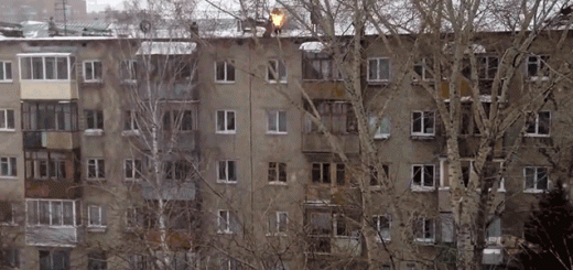 yxg8nmi9yslgulgw3ggp