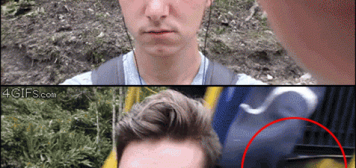 360a3a1e36f89fe2ef602a9f93f926bc