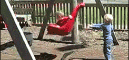 5506f6f8c126cb41549499a211d6296d