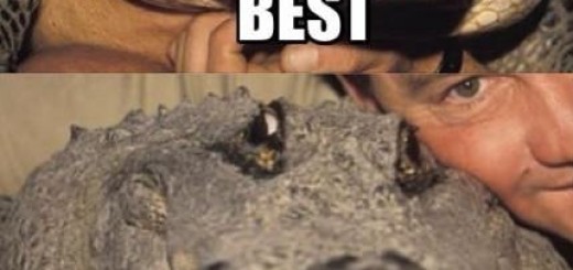 A+man..+A+legend.+He+doesnt+even+mind+that+Steve_26c0df_5116074