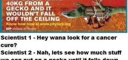 I+could+be+a+scientist.+Scientist+1+-+I+bet_0ea8b4_5095824