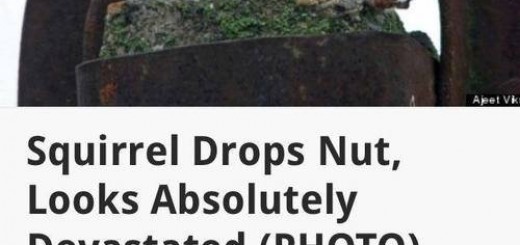 Oh+noes_21091a_5096253