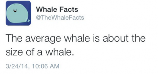Whale+Facts_8ae7e1_5115588
