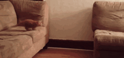 fdac29cd05617421897ec9396385e861