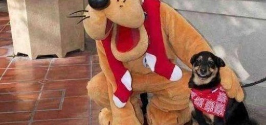 inot.+title+dont+need+to+make+sense_d82d0a_5115590