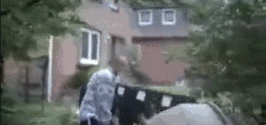 seems+legit_420f52_5115974