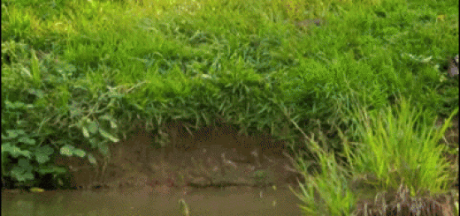 2e427f589071f648829f3aea8e7d8f36