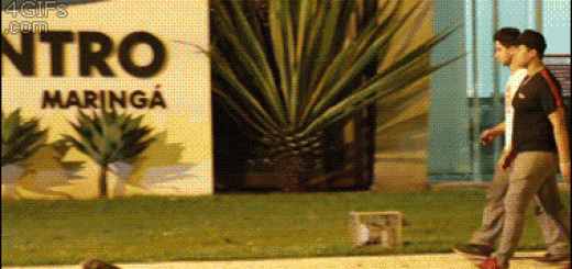 482aa0e749c7f38275032345f5aafeb5