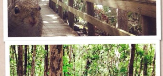 485ca59c9d2b1c708b56339db2340ef1