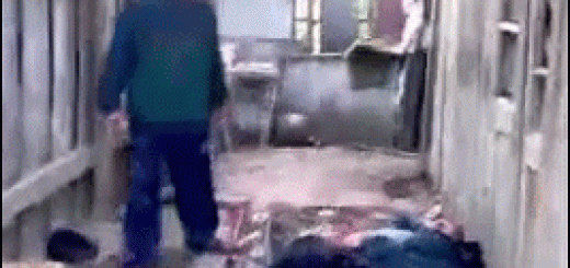 6723bcb8a209dd9e3f4adb5ed52a65d1