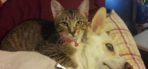 7d62feb02aff0111c30802fb0c667e60