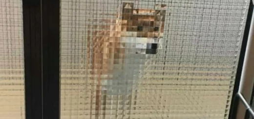 8zUCFBOVLhZzCs2FU30NxPCb