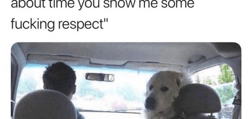 Grieving+jobless+shiny+hare_31d4d0_6598229