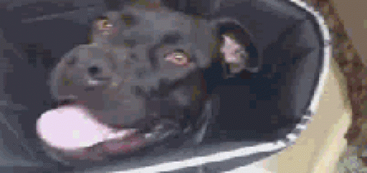 Laughing+and+realizing+no+one+else+did.+And+that+s+why_cddc43_5155577