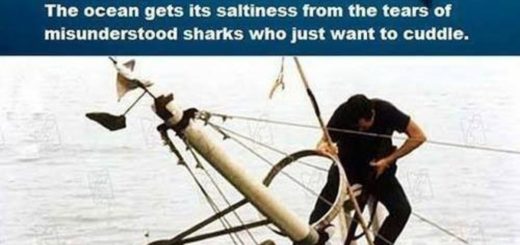 Piquant_1ed826_6598319