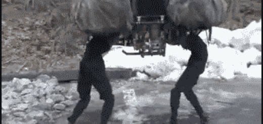 Robots+are+great.+At+first+I+thought+it+was+two_792927_5145049