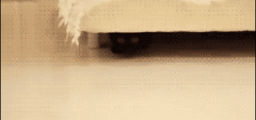 Thriller.+makes+me+think+of+this+https+www.youtube.com+watch+v+R7ssVT6T3mQ_80f4b0_5155540