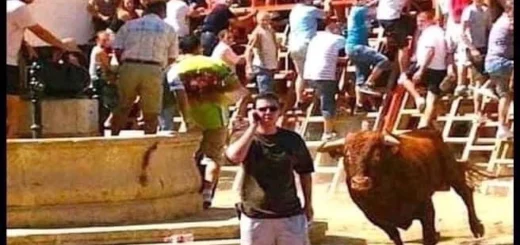 VgcYSg8Ms8IiB86qpxyiK4mo