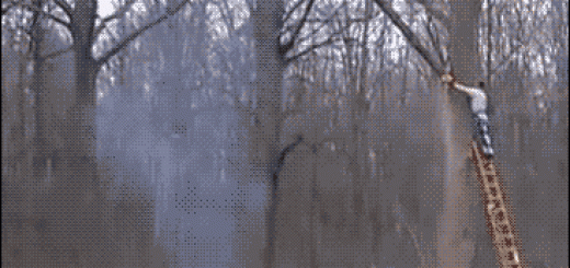 e1c293db4671f69255f6e93c4b0df150