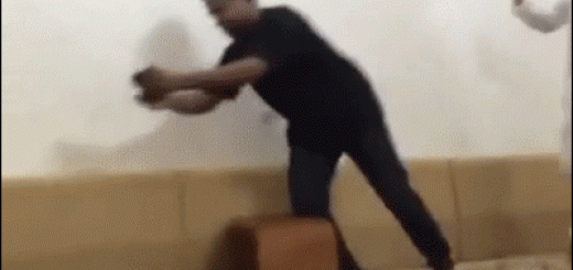 e8ddd02bed1699ec6186a3359be65556