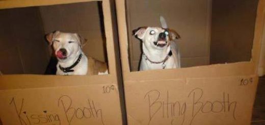 kissing-booth-biting-booth
