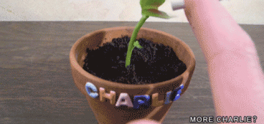 one+cool+plant_8a1079_5145356