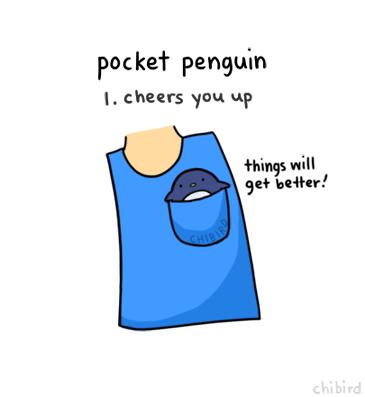pocket-penguin-gif