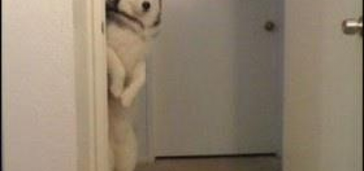 tumblr_lvm7k3pka91qf7exzo1_400