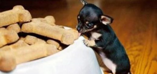 tumblr_medo24FYg31rm7aeco1_400