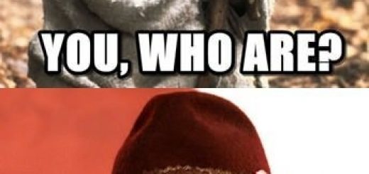 tumblr_mehpcm59sD1r9r98xo1_500